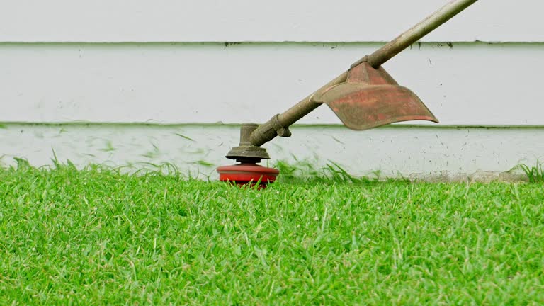 Best Lawn Irrigation Installation and Maintenance  in Warrensville Heights, OH